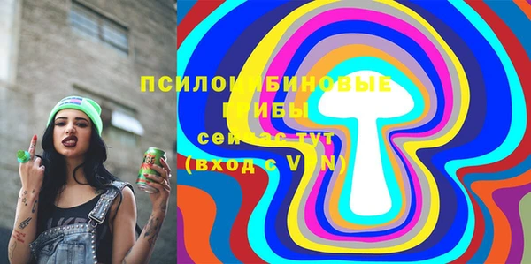 мдпв Мегион
