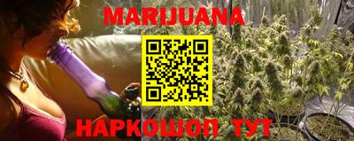 прущие грибы Краснокаменск