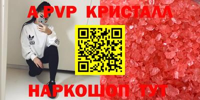 прущие грибы Краснокаменск