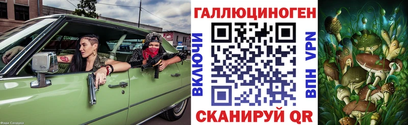 закладки Новоуральск shop телеграм Галлюциногенные грибы мицелий