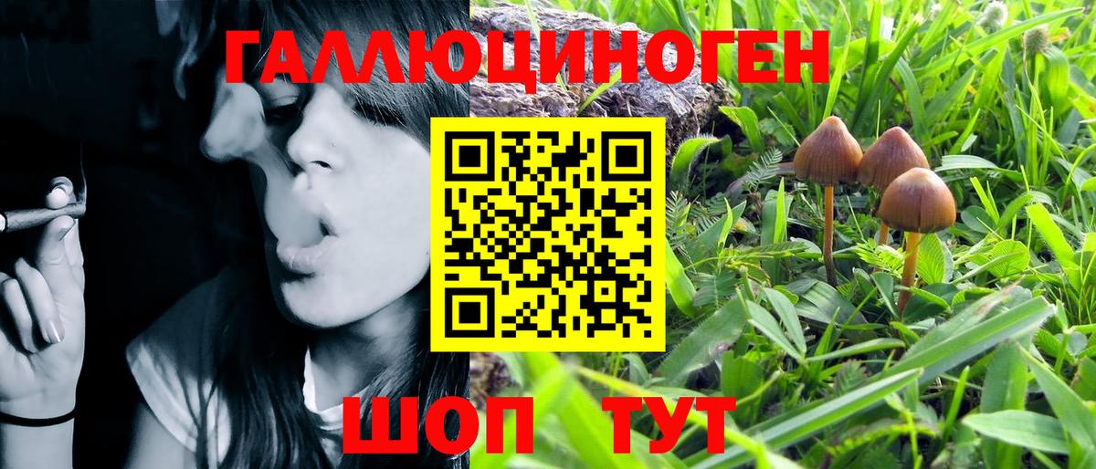 Галлюциногенные грибы MAGIC MUSHROOMS Новоуральск